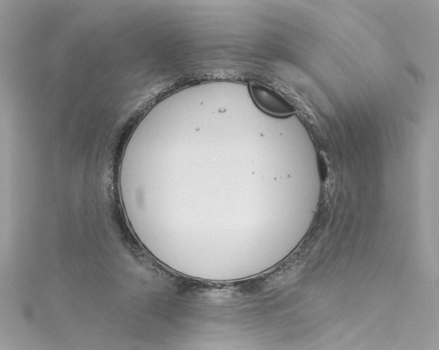 X0000115050306200911161553