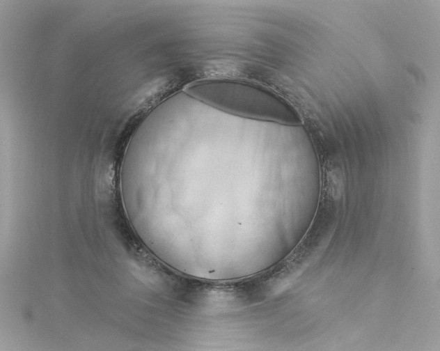 X0000115050308200911161553