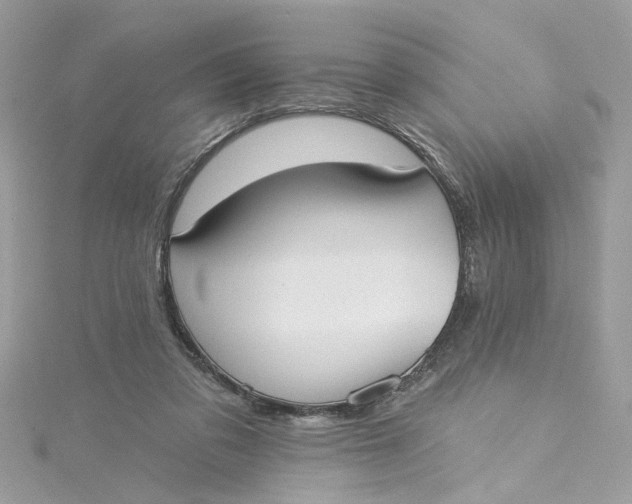 X0000115050309200911161553