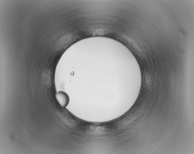 X0000115050311200911161553