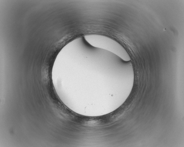 X0000115050312200911161553