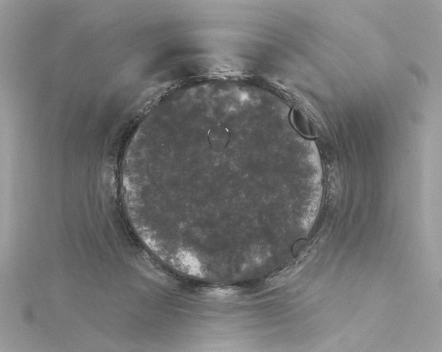 X0000115050313200911161553