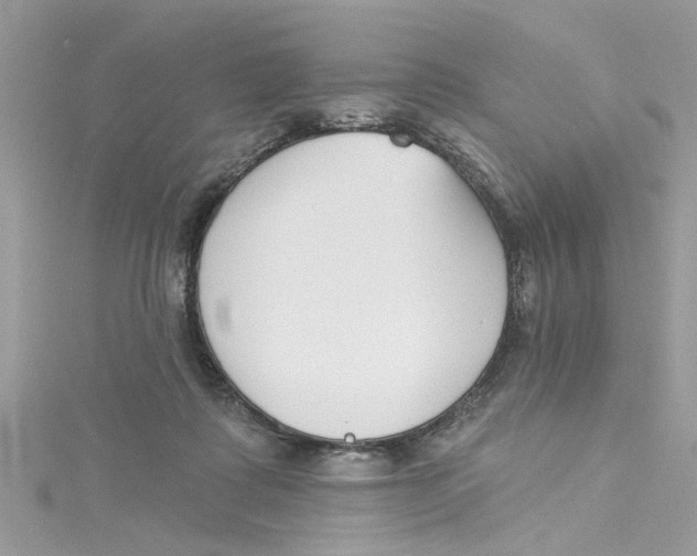 X0000115050315200911161553