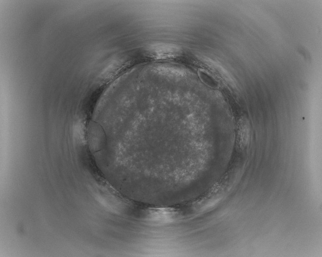 X0000115050316200911161553