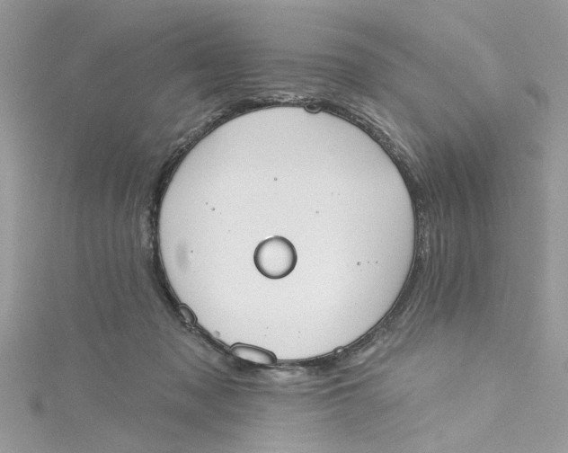 X0000115050317200911161553