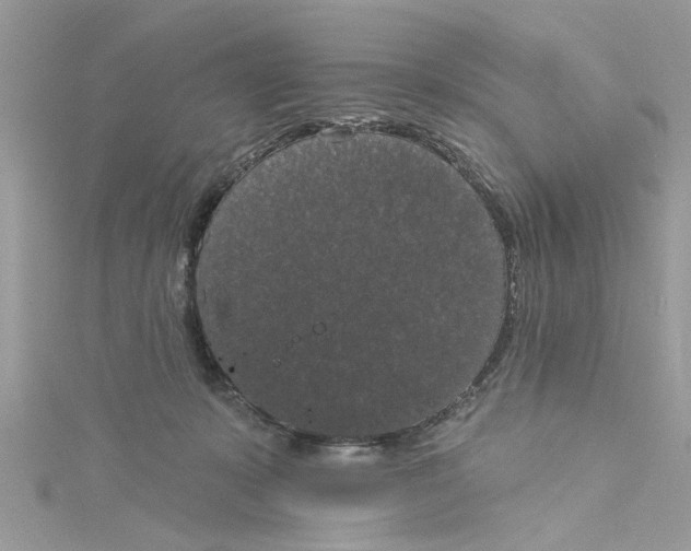 X0000115050319200911161553