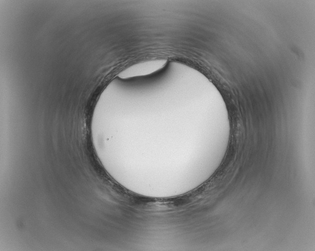 X0000115050320200911161553