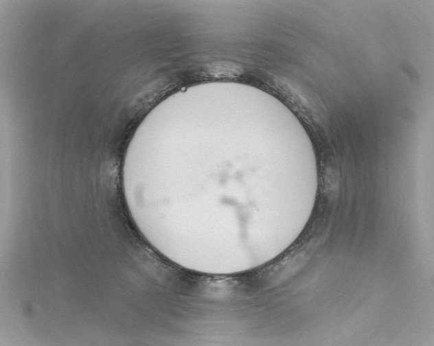 X0000115050321200911161553