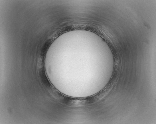 X0000115050323200911161553