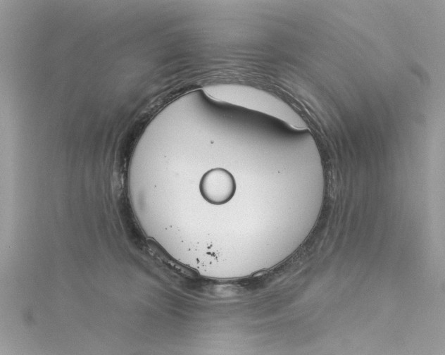 X0000115050324200911161553