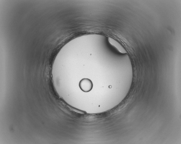 X0000115050325200911161553