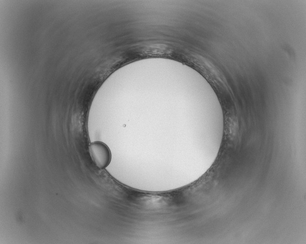 X0000115050326200911161553