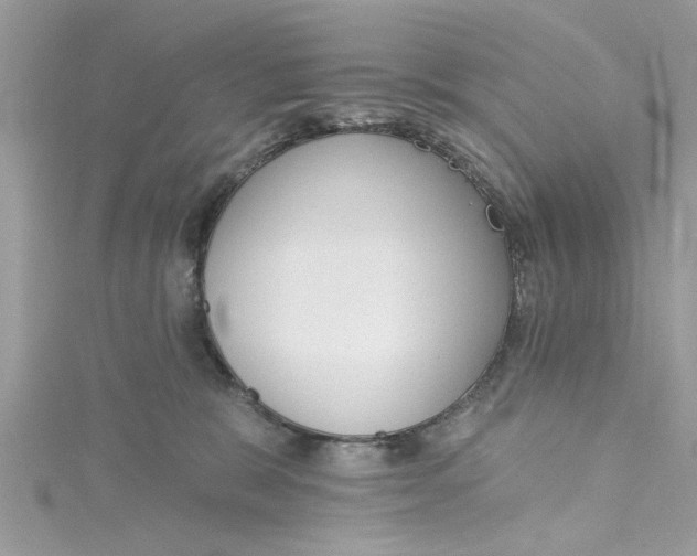 X0000115050327200911161553