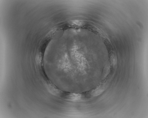 X0000115050328200911161553