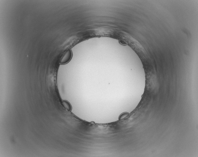 X0000115050329200911161553