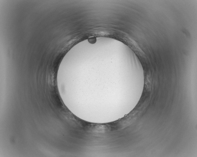 X0000115050330200911161553