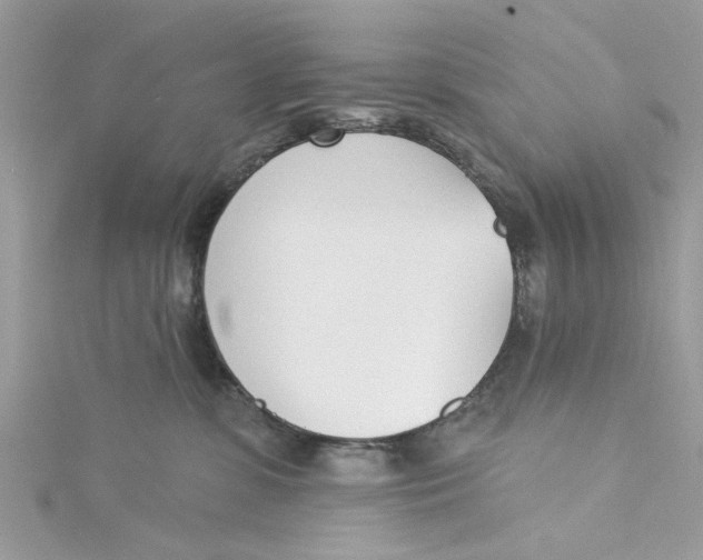 X0000115050331200911161553