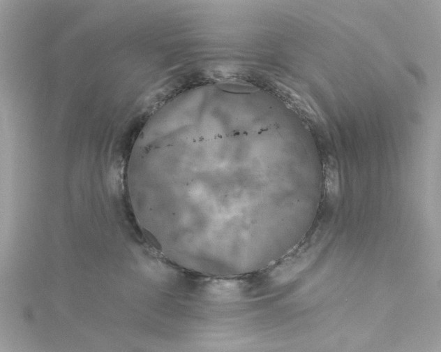 X0000115050332200911161553