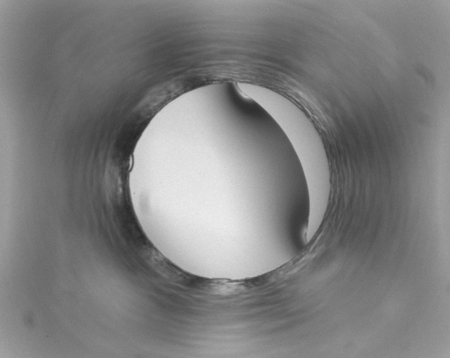 X0000115050333200911161553