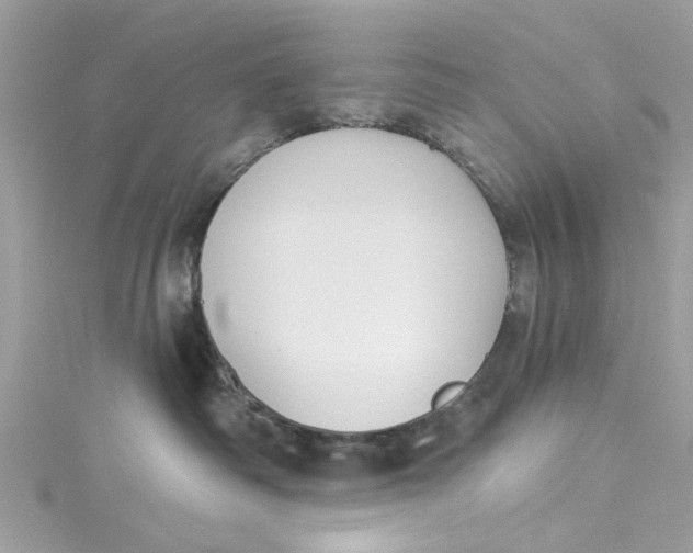 X0000115050334200911161553