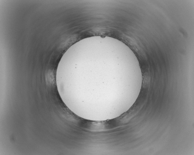 X0000115050335200911161553