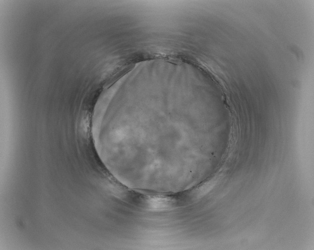 X0000115050336200911161553