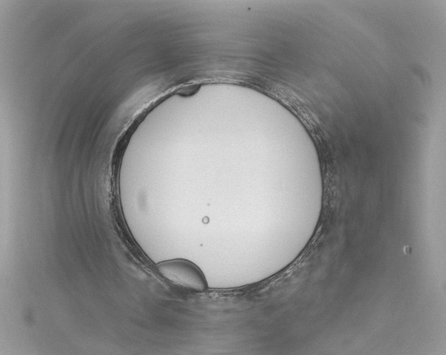 X0000115050338200911161552