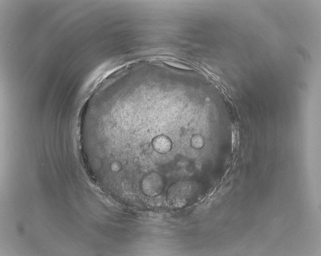 X0000115050339200911161552