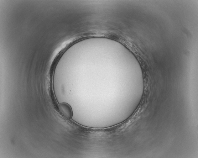 X0000115050342200911161552