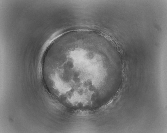 X0000115050343200911161552