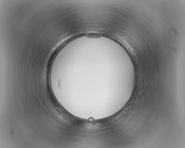 X0000115050346200911161552