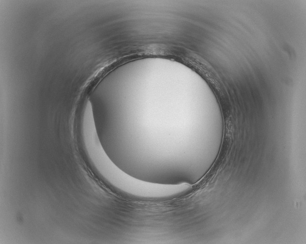 X0000115050347200911161552