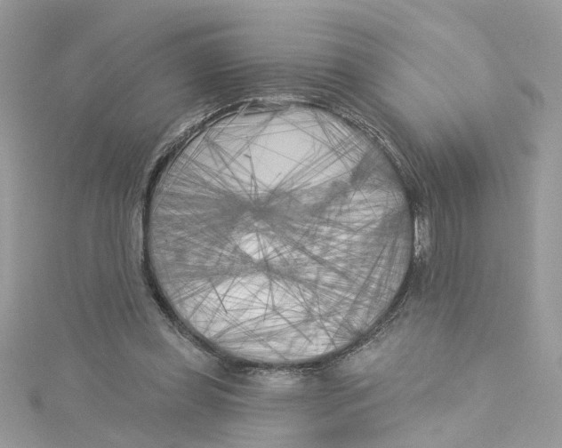 X0000115050349200911161552