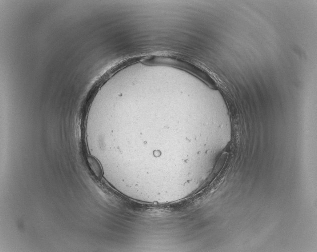 X0000115050350200911161552