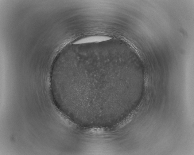 X0000115050353200911161552