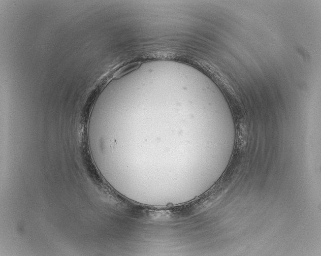 X0000115050355200911161552