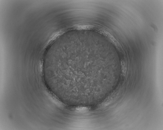 X0000115050357200911161552