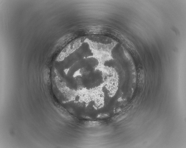 X0000115050361200911161552