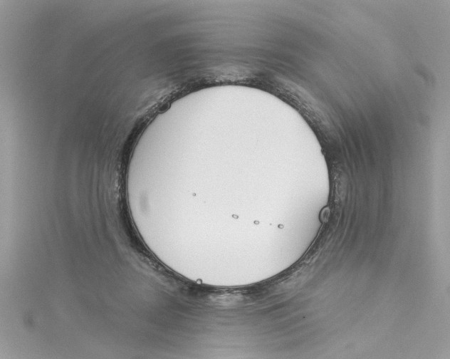 X0000115050362200911161552