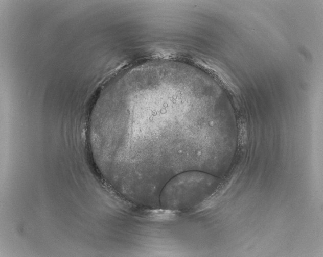 X0000115050363200911161552