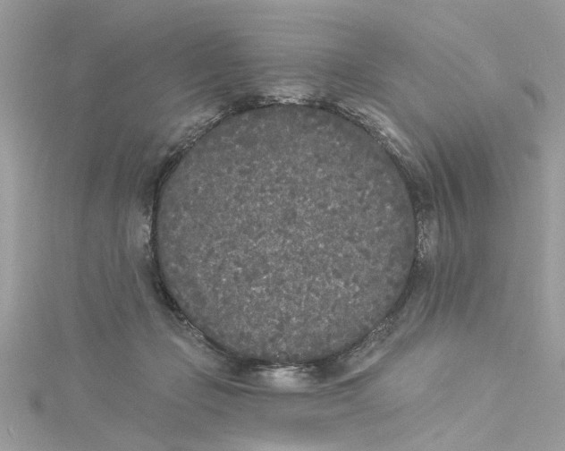 X0000115050365200911161552