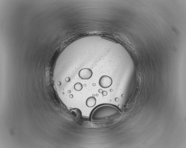 X0000115050366200911161552