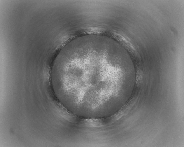 X0000115050367200911161552