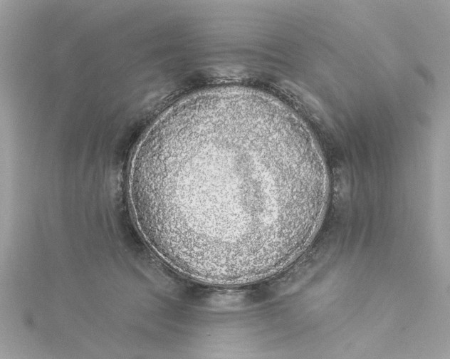 X0000115050369200911161553