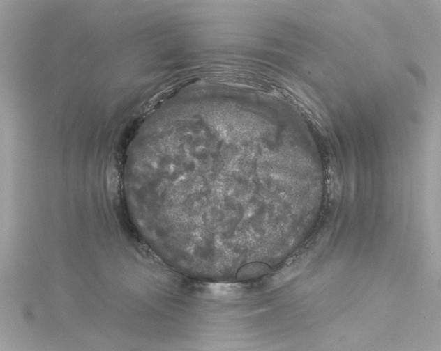 X0000115050371200911161553