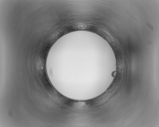 X0000115050374200911161553