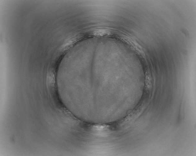 X0000115050375200911161553