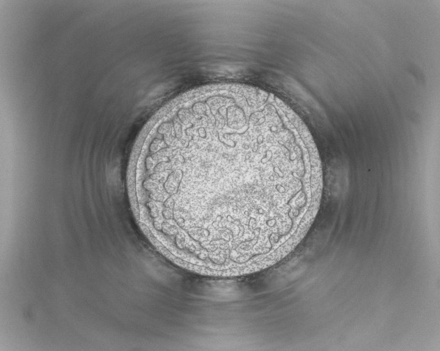 X0000115050377200911161553