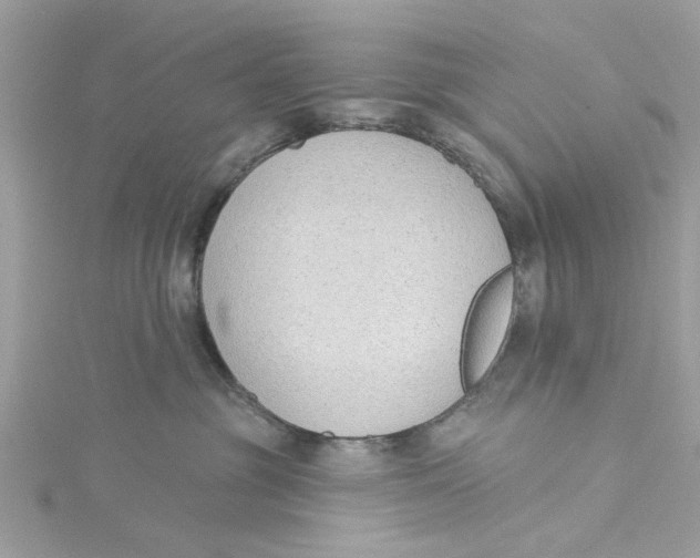 X0000115050381200911161553