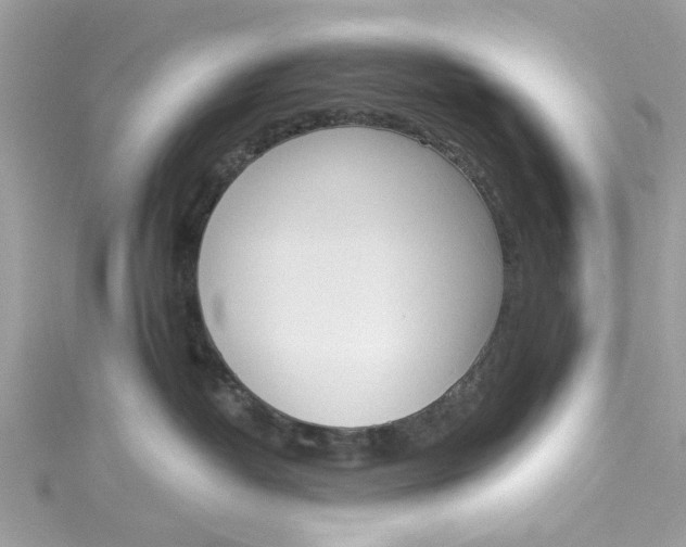 X0000115050382200911161553